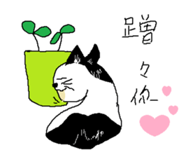 Sesame cat learning time sticker #15883471