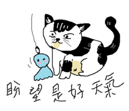 Sesame cat learning time sticker #15883473