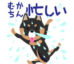 MUKACHIN STICKER sticker #15884018