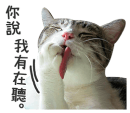 Pets Meow. sticker #15884892