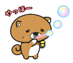 japanese sibadog gomatan (s/s ver.) sticker #15885374