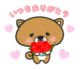 japanese sibadog gomatan (s/s ver.) sticker #15885392