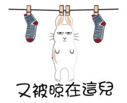 The daily routine of rabbits - 2 sticker #15886058