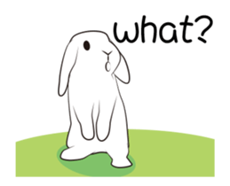 The daily routine of rabbits - 2 sticker #15886064