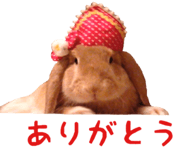Bunny Hollandlop Daichan Japanese Ver. sticker #15886410