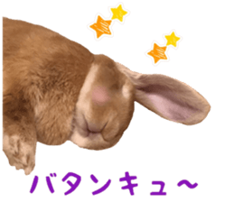 Bunny Hollandlop Daichan Japanese Ver. sticker #15886411