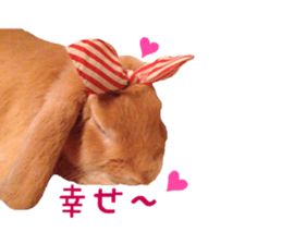 Bunny Hollandlop Daichan Japanese Ver. sticker #15886413