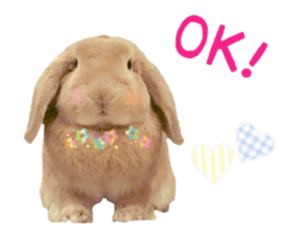 Bunny Hollandlop Daichan Japanese Ver. sticker #15886415