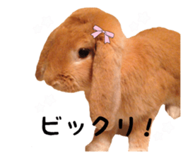 Bunny Hollandlop Daichan Japanese Ver. sticker #15886416