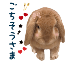 Bunny Hollandlop Daichan Japanese Ver. sticker #15886418
