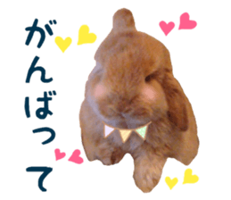 Bunny Hollandlop Daichan Japanese Ver. sticker #15886420