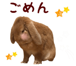 Bunny Hollandlop Daichan Japanese Ver. sticker #15886422