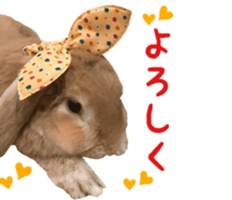 Bunny Hollandlop Daichan Japanese Ver. sticker #15886424
