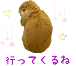 Bunny Hollandlop Daichan Japanese Ver. sticker #15886425