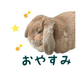 Bunny Hollandlop Daichan Japanese Ver. sticker #15886430