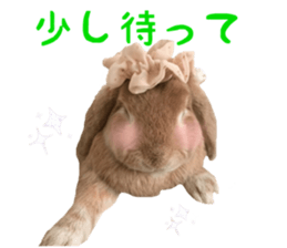 Bunny Hollandlop Daichan Japanese Ver. sticker #15886433
