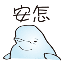 cute beluga whale sticker #15886514