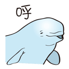 cute beluga whale sticker #15886523