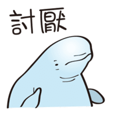 cute beluga whale sticker #15886524