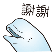 cute beluga whale sticker #15886530