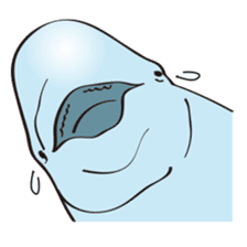 cute beluga whale sticker #15886542