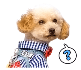 Muck and happy friends sticker #15886893