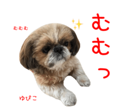 Shih tzu friend's sticker sticker #15887403