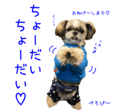 Shih tzu friend's sticker sticker #15887404