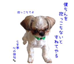 Shih tzu friend's sticker sticker #15887406