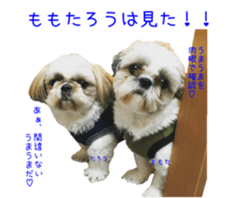 Shih tzu friend's sticker sticker #15887408