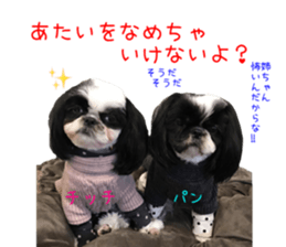 Shih tzu friend's sticker sticker #15887409