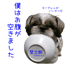 Shih tzu friend's sticker sticker #15887410
