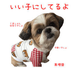 Shih tzu friend's sticker sticker #15887413