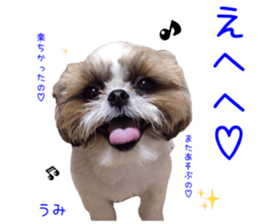 Shih tzu friend's sticker sticker #15887414