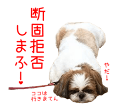 Shih tzu friend's sticker sticker #15887415