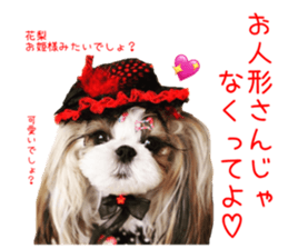 Shih tzu friend's sticker sticker #15887417