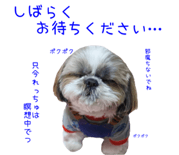 Shih tzu friend's sticker sticker #15887420