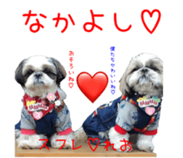 Shih tzu friend's sticker sticker #15887421