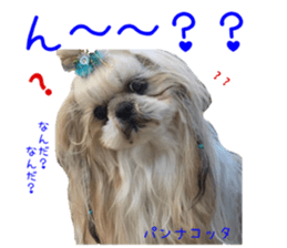 Shih tzu friend's sticker sticker #15887422