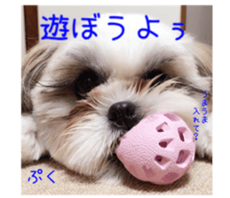 Shih tzu friend's sticker sticker #15887426
