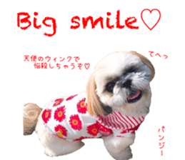 Shih tzu friend's sticker sticker #15887427