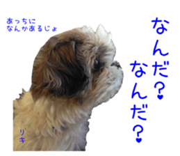Shih tzu friend's sticker sticker #15887428