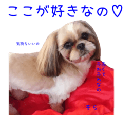 Shih tzu friend's sticker sticker #15887430
