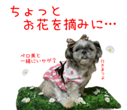 Shih tzu friend's sticker sticker #15887431