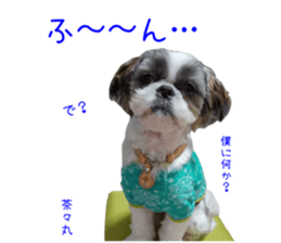 Shih tzu friend's sticker sticker #15887432