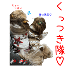 Shih tzu friend's sticker sticker #15887439