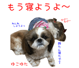 Shih tzu friend's sticker sticker #15887441