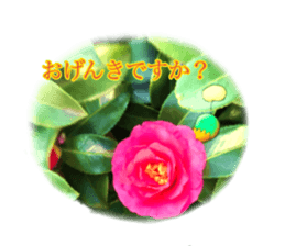 Heart-chann Sticker sticker #15889343