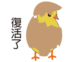 Young chicks sticker #15889530