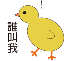 Young chicks sticker #15889531